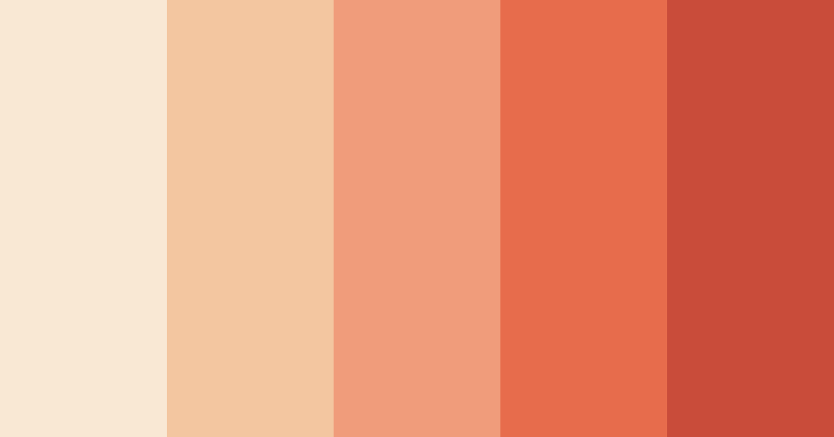 Download sunset petals color palette PNG image (landscape)
