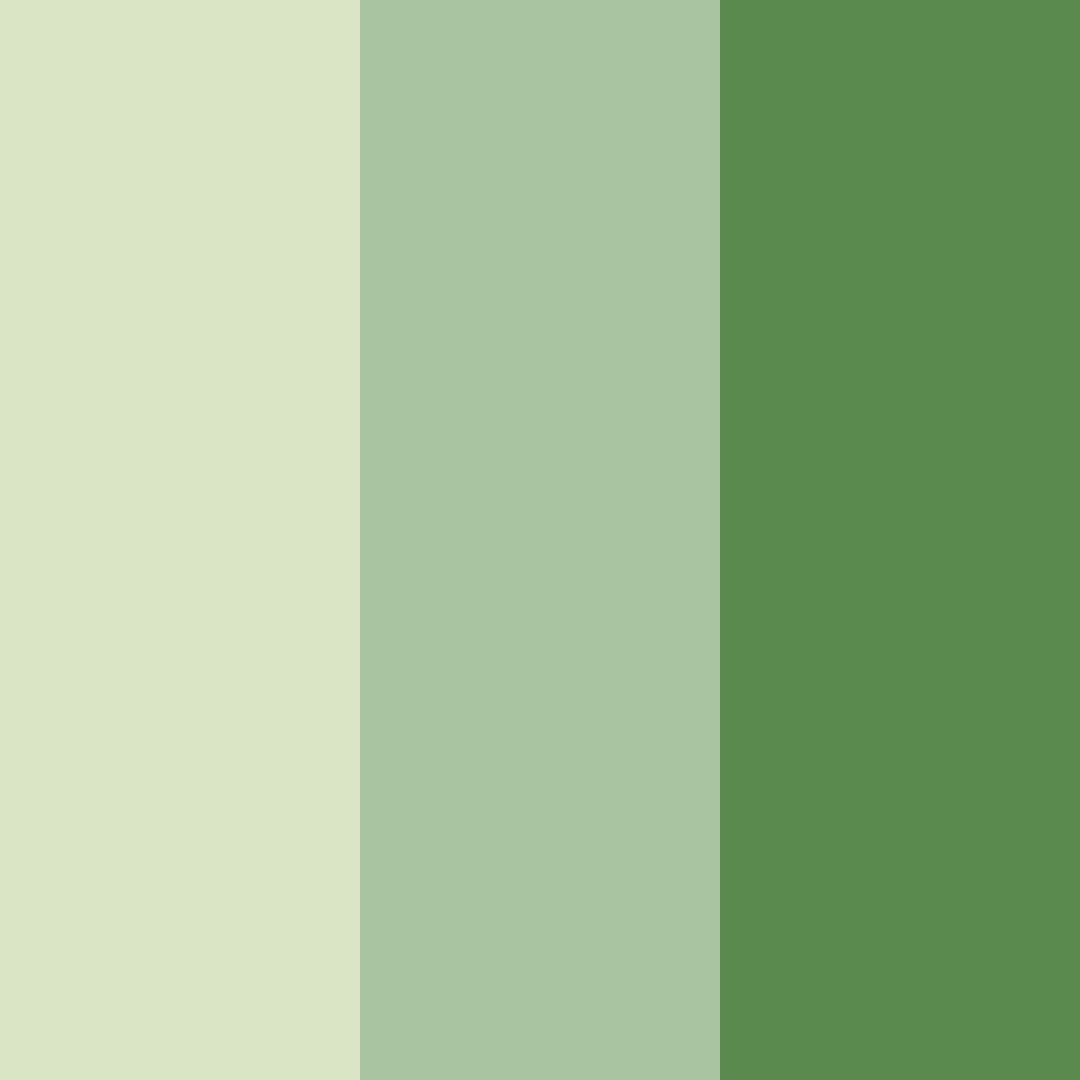 Download green nature color palette PNG image (square)
