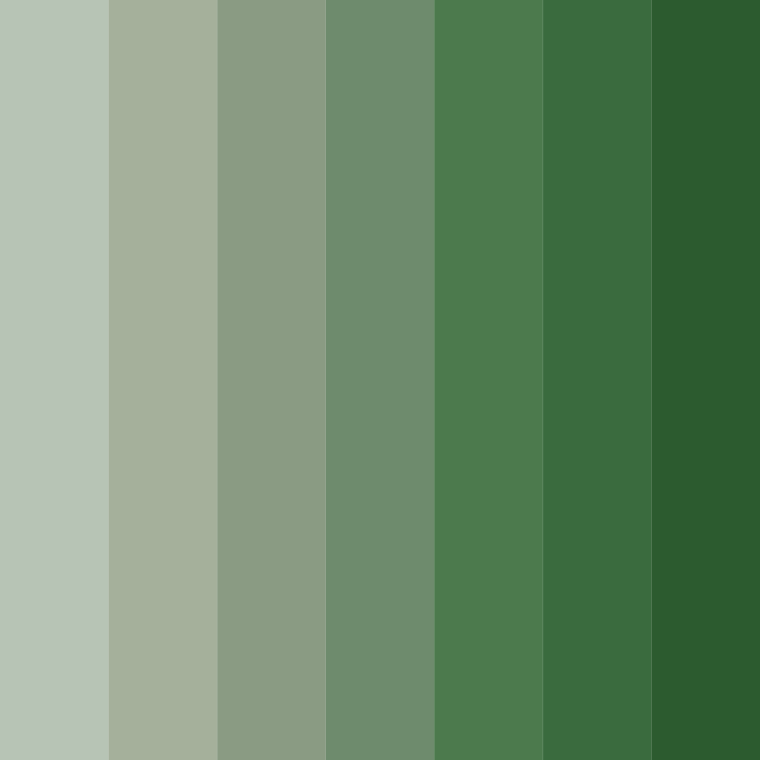 Download forest whisper color palette PNG image (square)