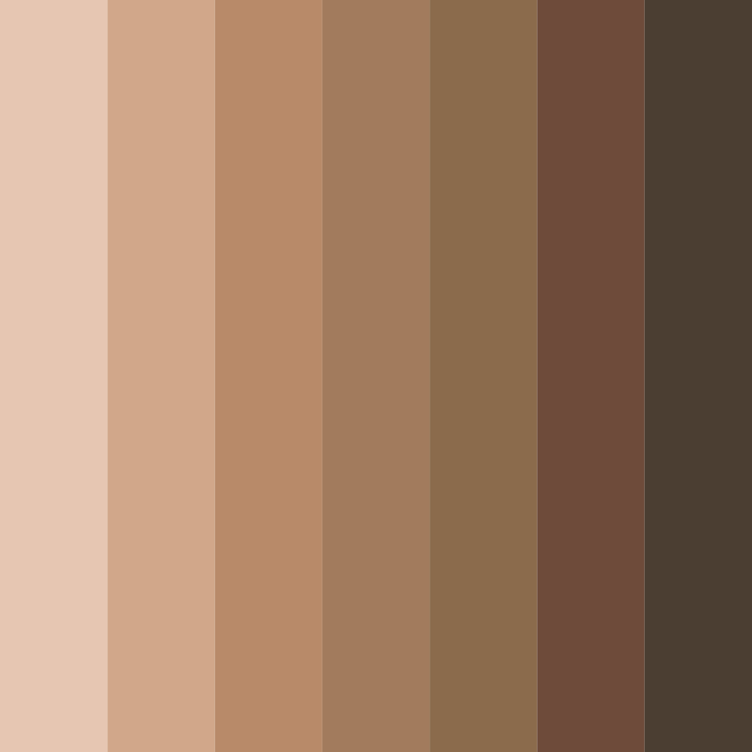 Download soft sepia color palette PNG image (square)