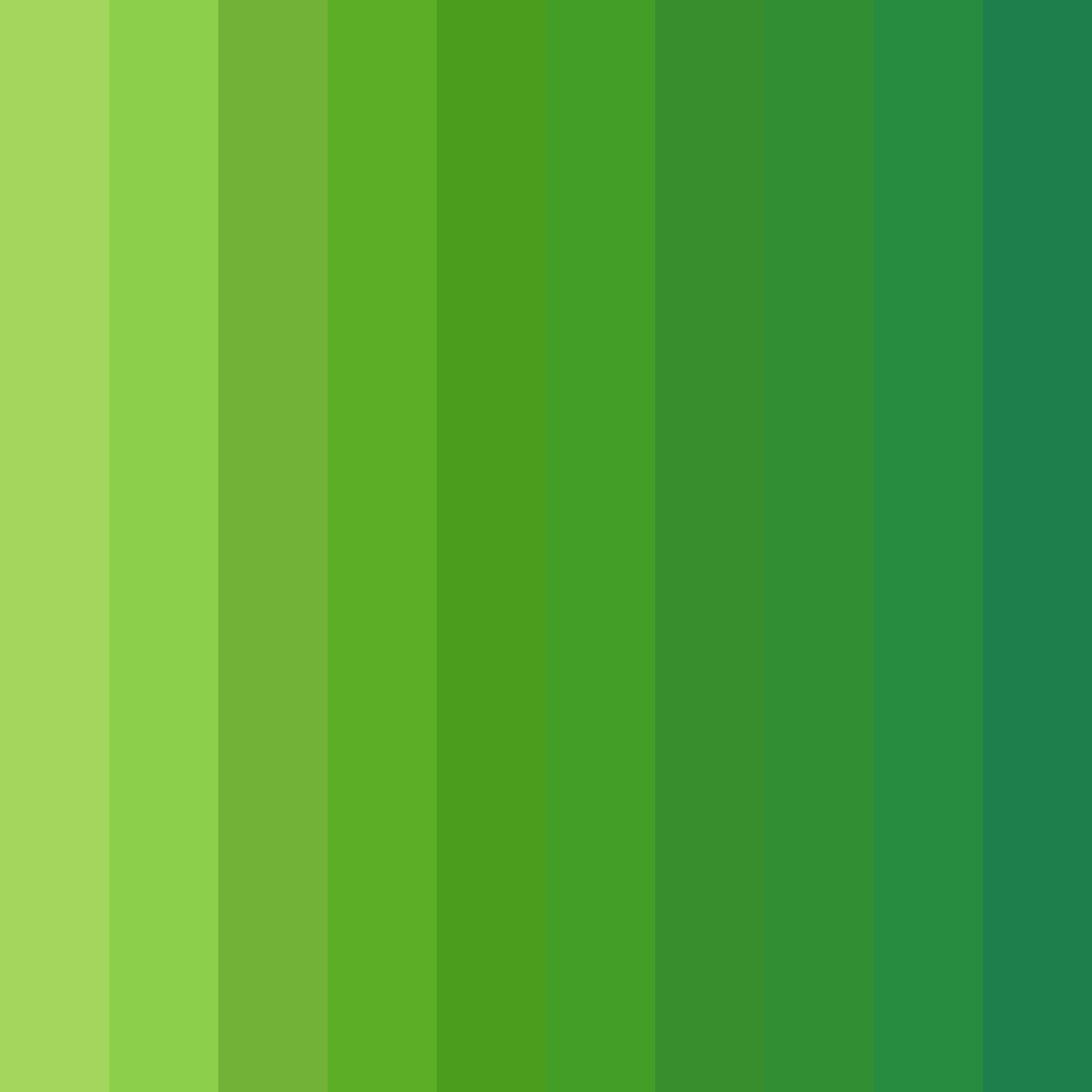 Download tropical parrot dance color palette PNG image (square)