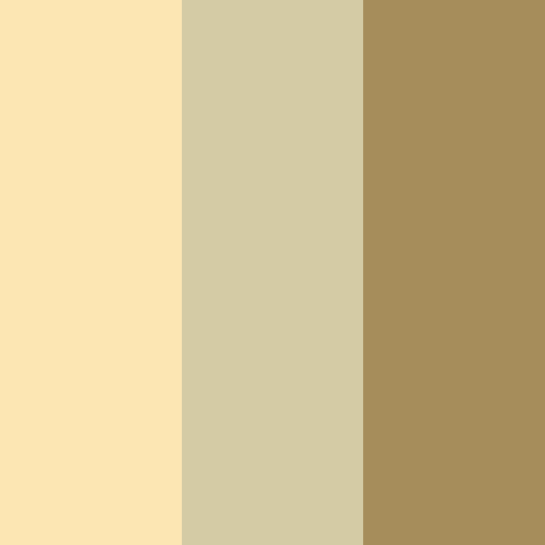 Download warm gold color palette PNG image (square)