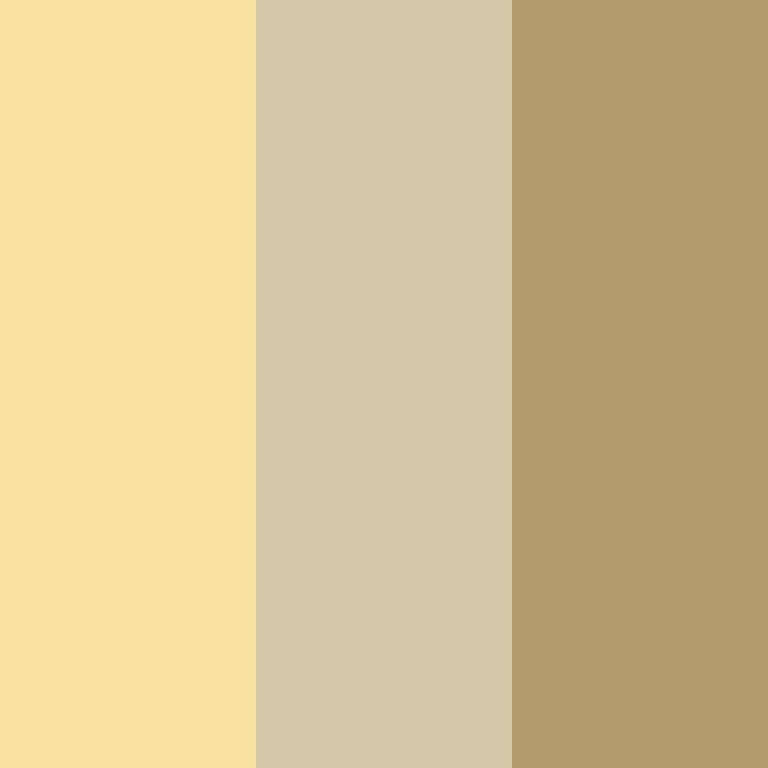 Download golden meadow whisper color palette PNG image (square)