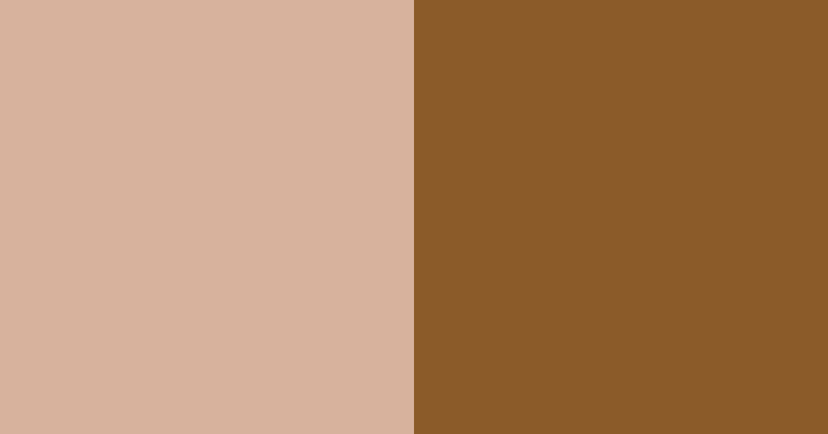Download light brown shades color palette PNG image (landscape)
