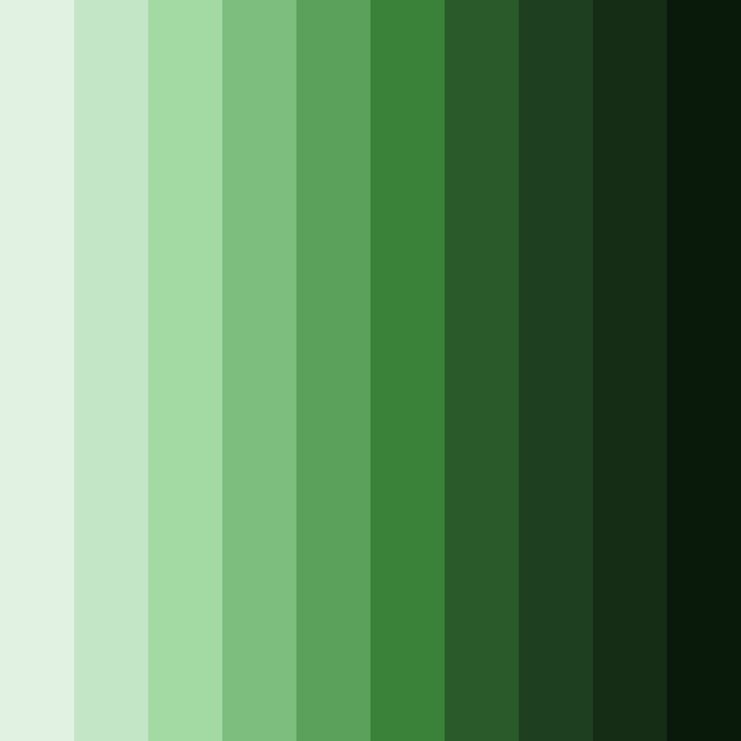Download whispering verdant color palette PNG image (square)