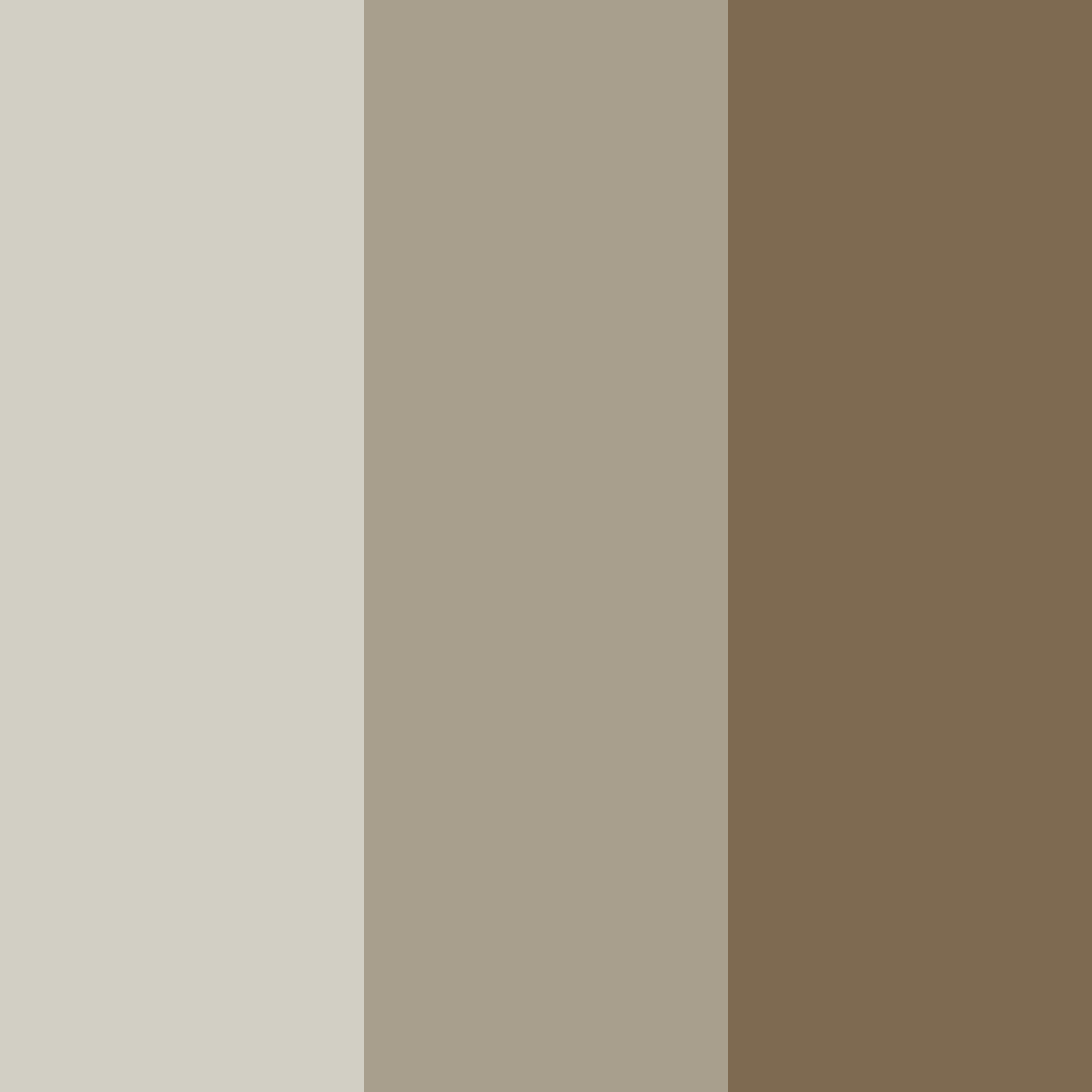 Download brown stone color palette PNG image (square)