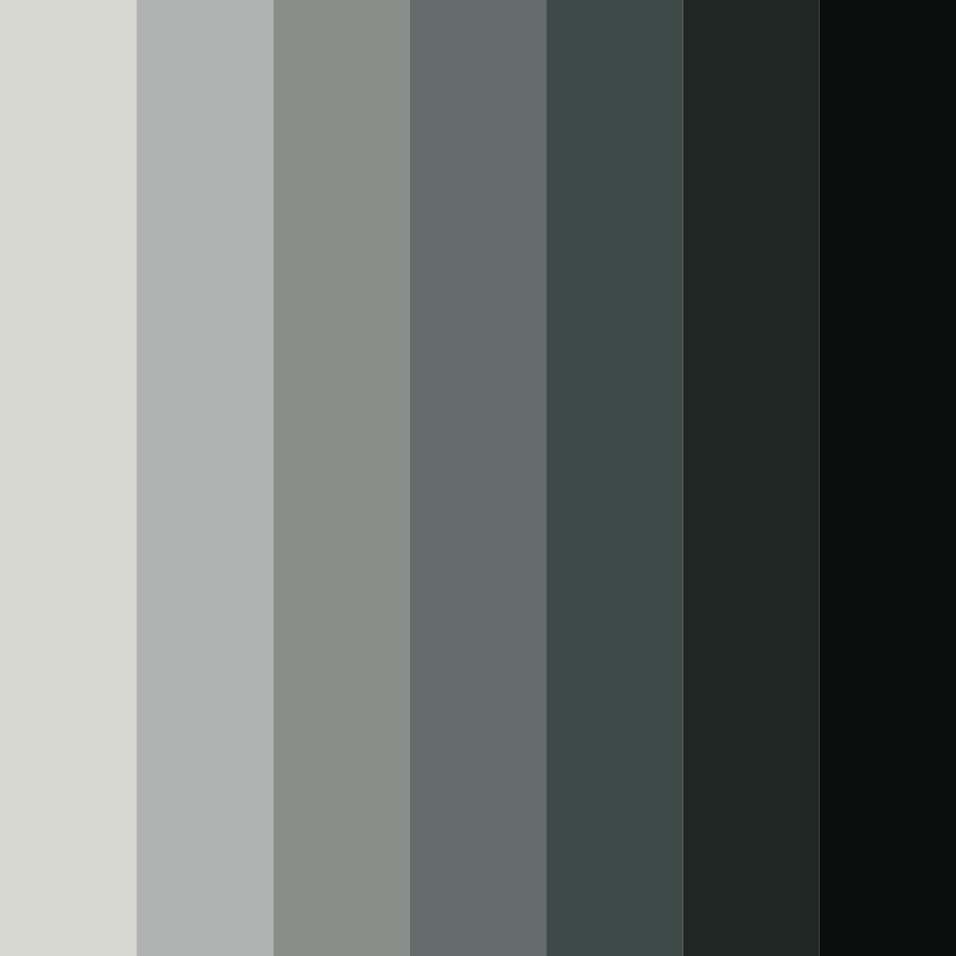 Download lunar shadows color palette PNG image (square)