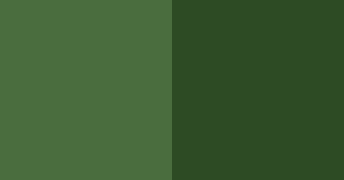 Download forest canopy color palette PNG image (landscape)