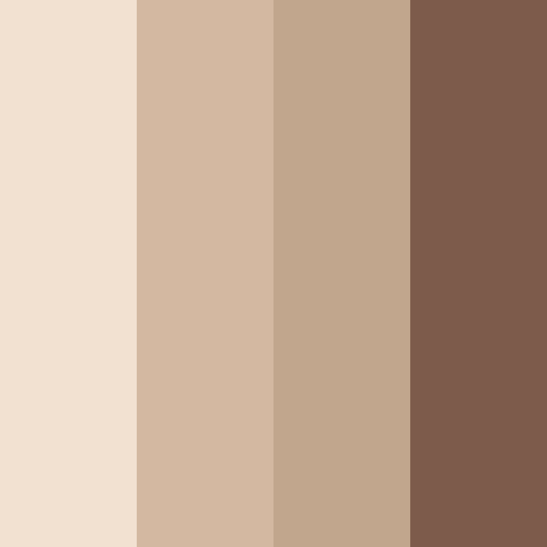 Download brown latte color palette PNG image (square)