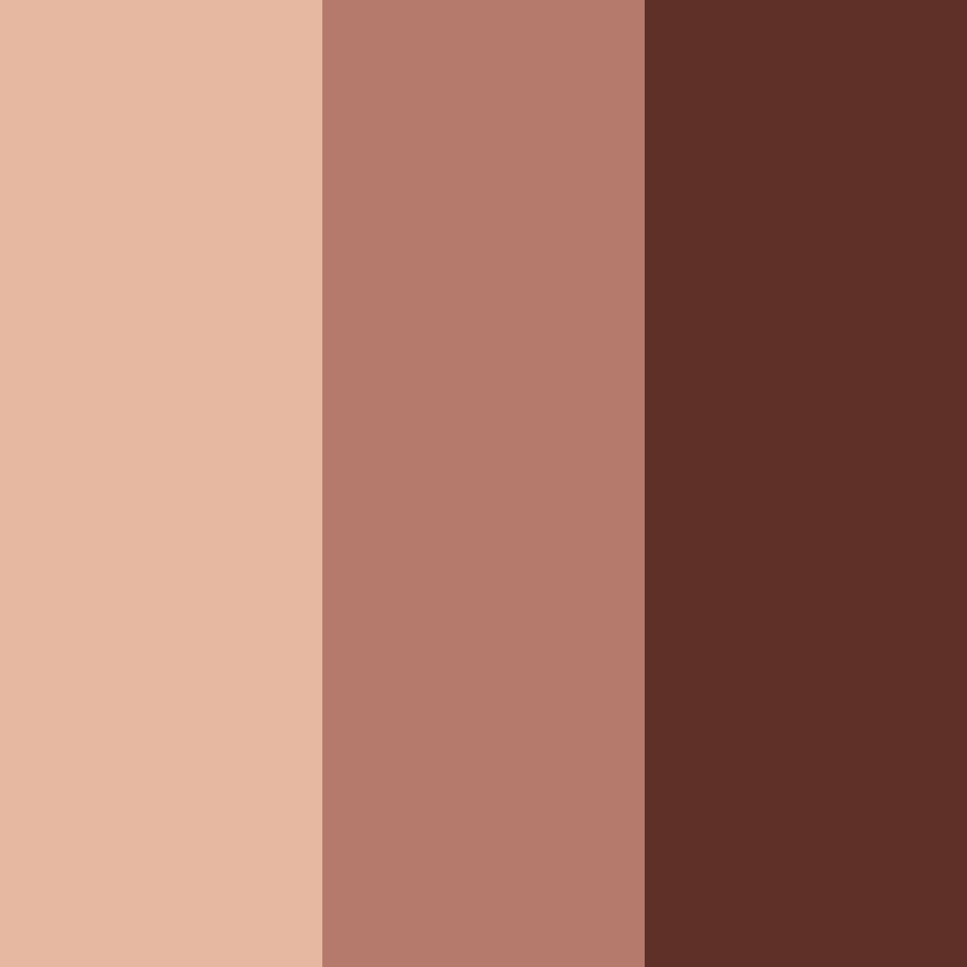 Download rustic elegance color palette PNG image (square)