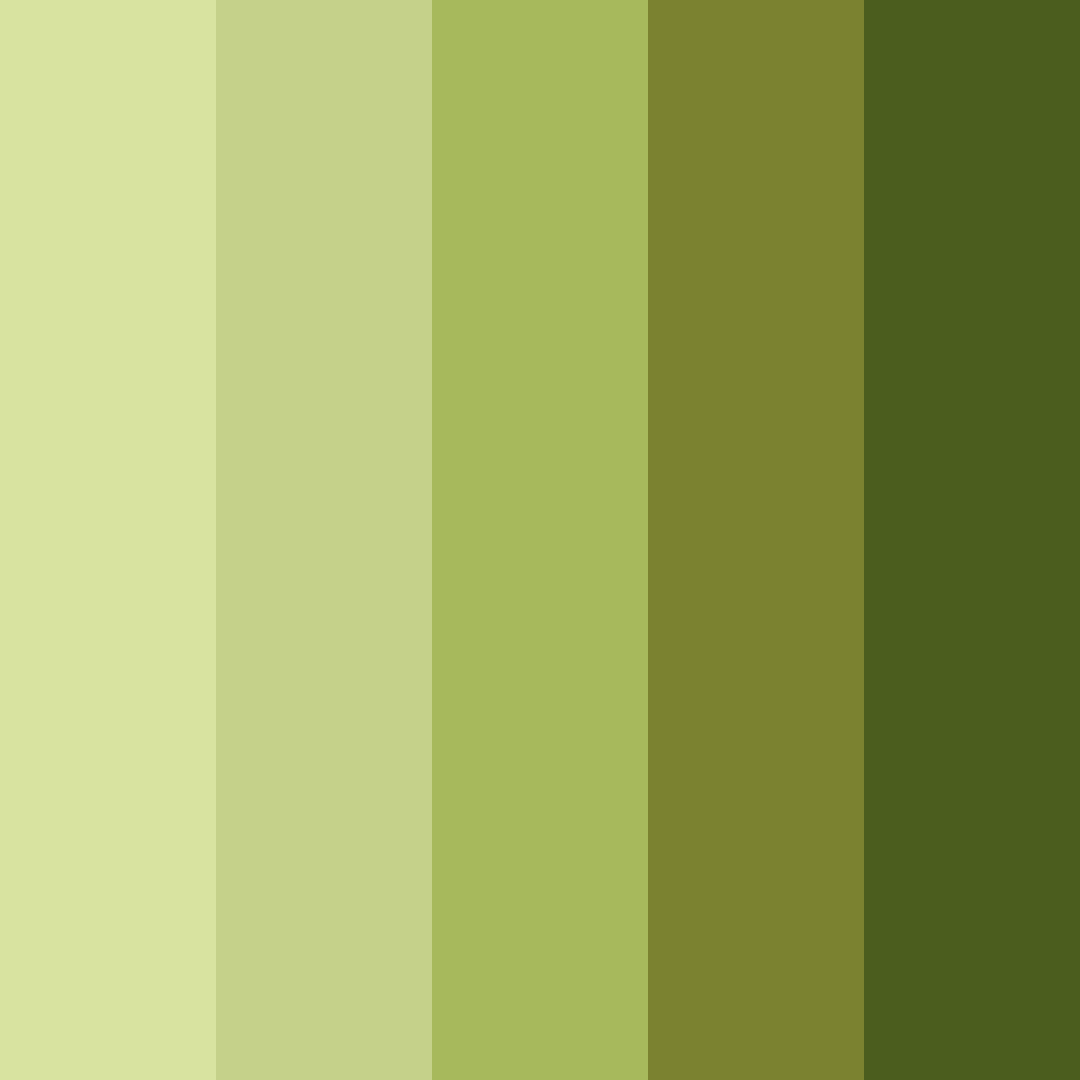 Download olive green color palette PNG image (square)