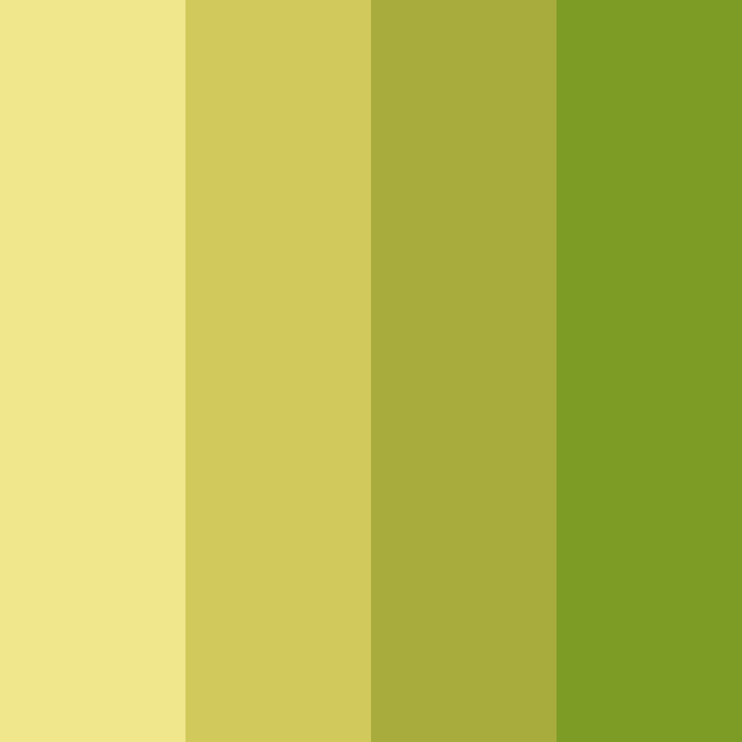 Download sunlit meadow color palette PNG image (square)