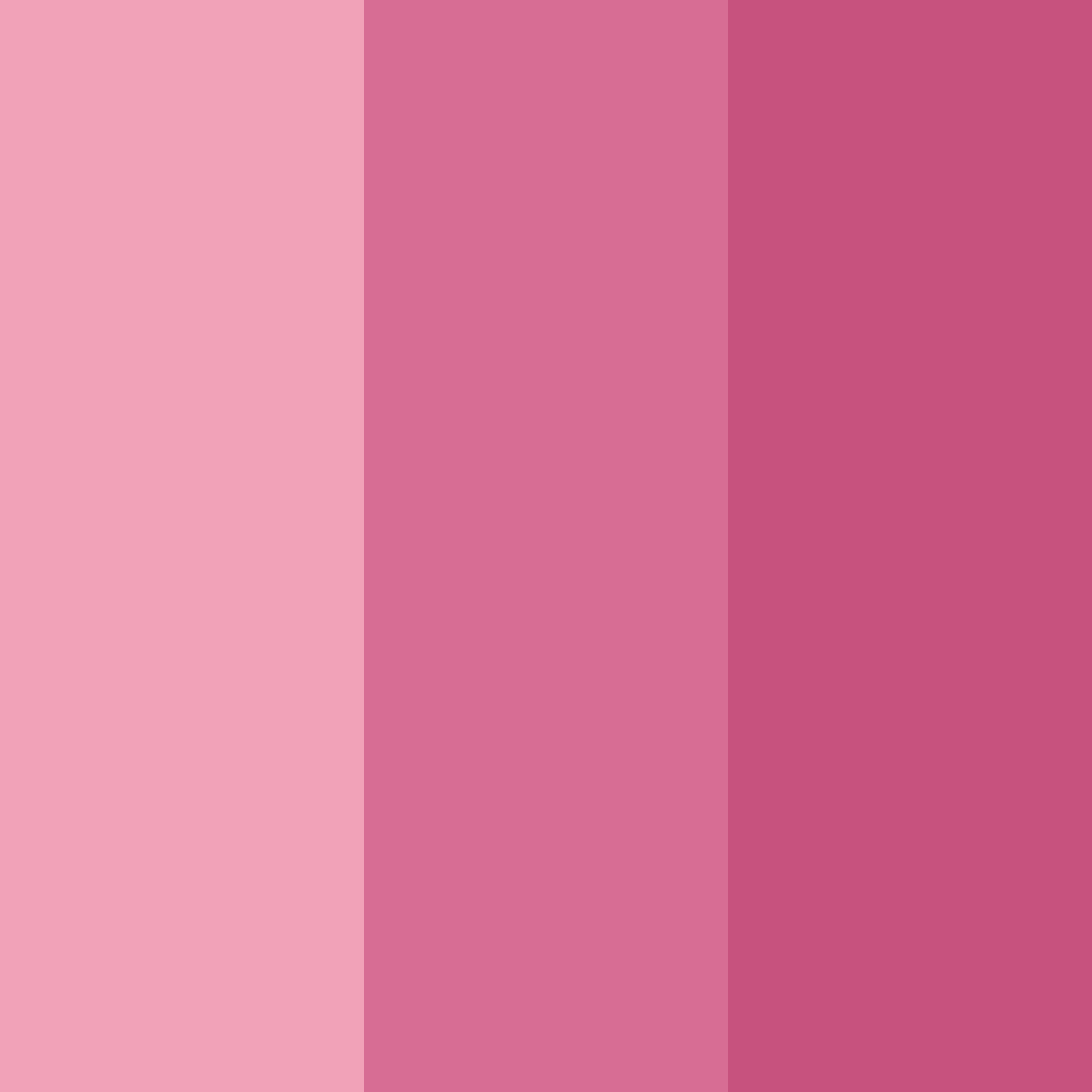 Download pink blush color palette PNG image (square)