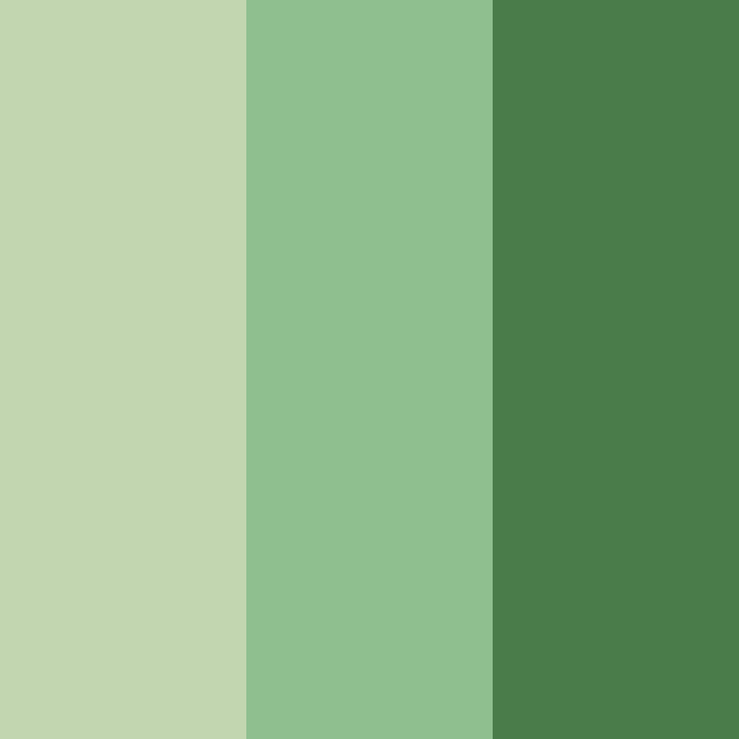 Download olive green color palette PNG image (square)