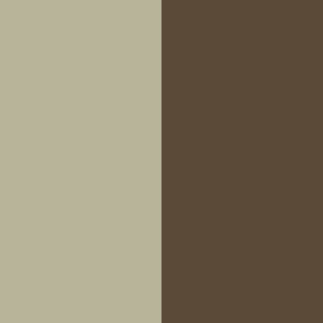 Download earthy brown color palette PNG image (square)