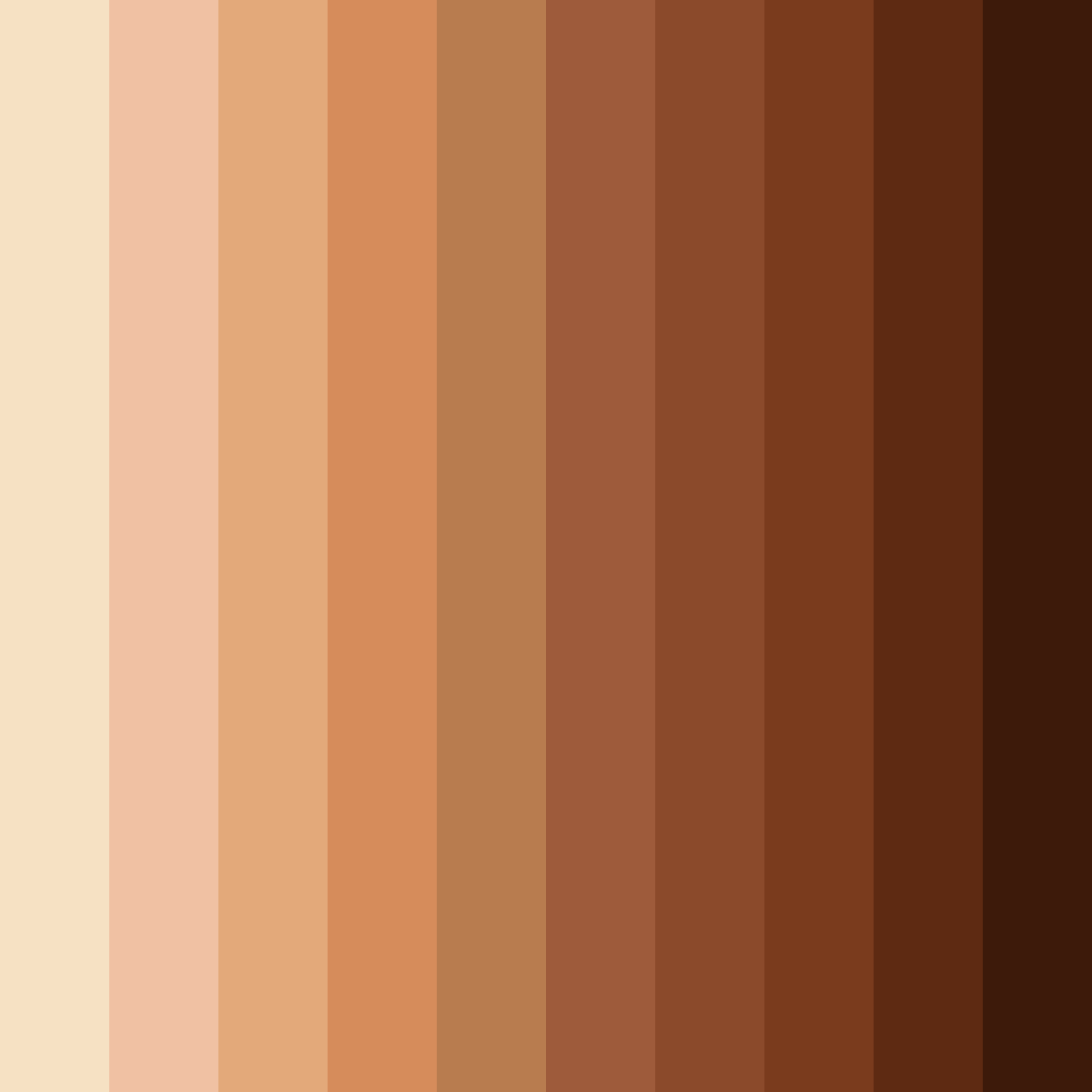 Download warm brown color palette PNG image (square)