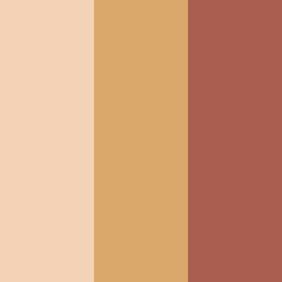 Download warm cinnamon color palette PNG image (square)
