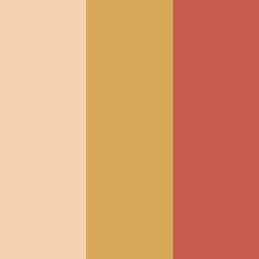 Download cinnamon sunrise color palette PNG image (square)
