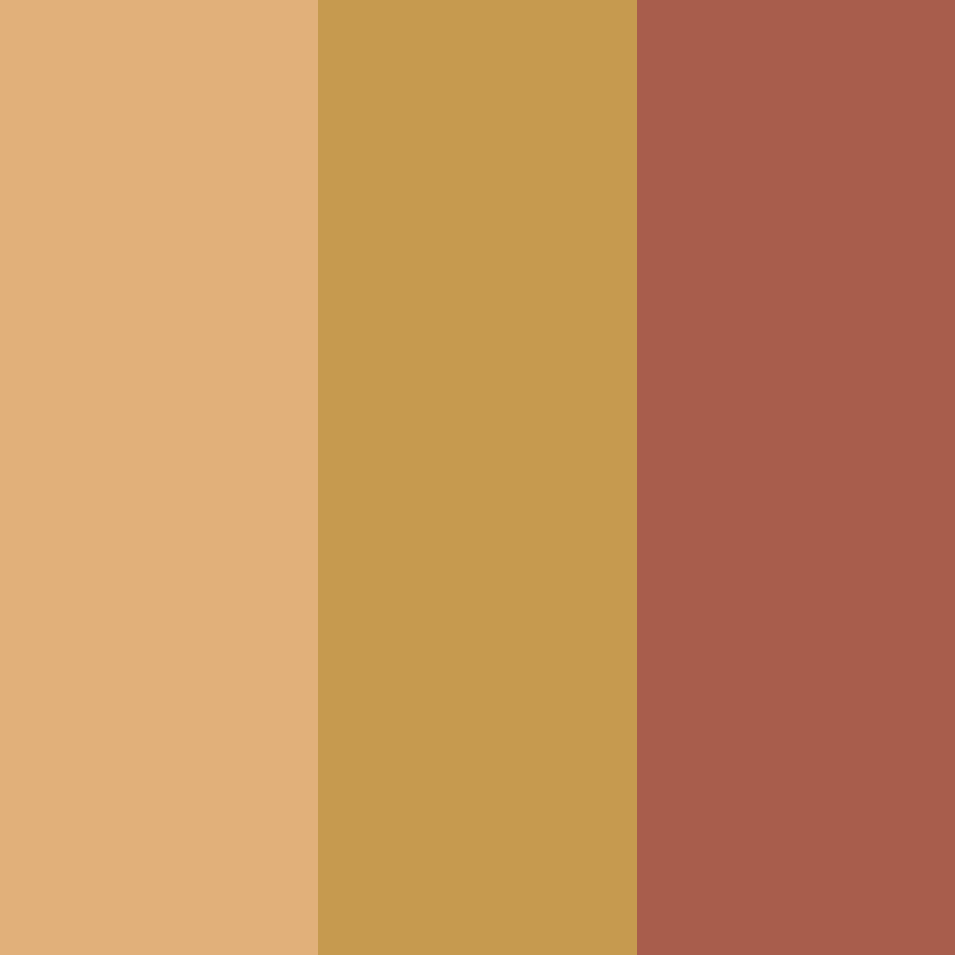 Download cinnamon sunrise color palette PNG image (square)