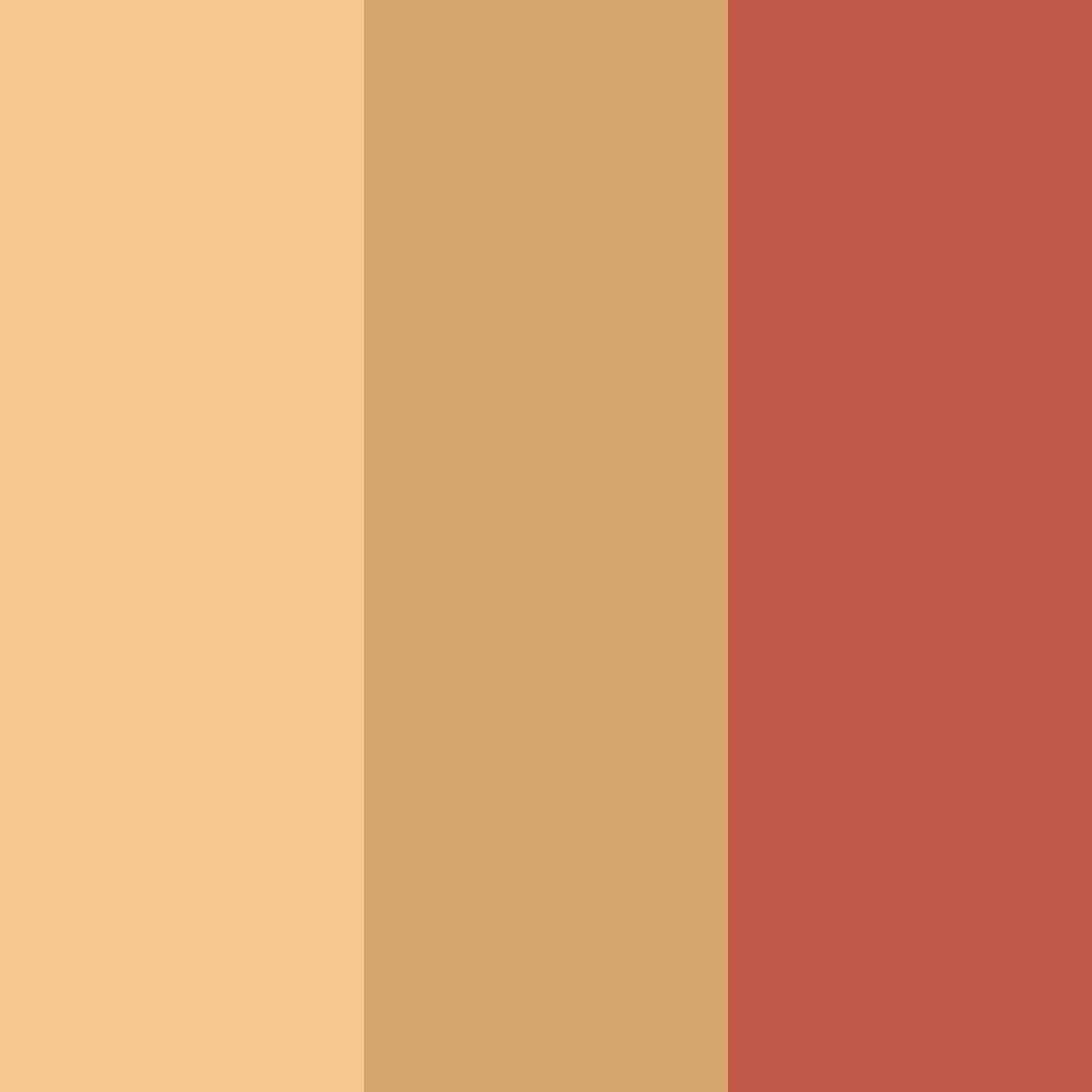 Download warm cinnamon color palette PNG image (square)