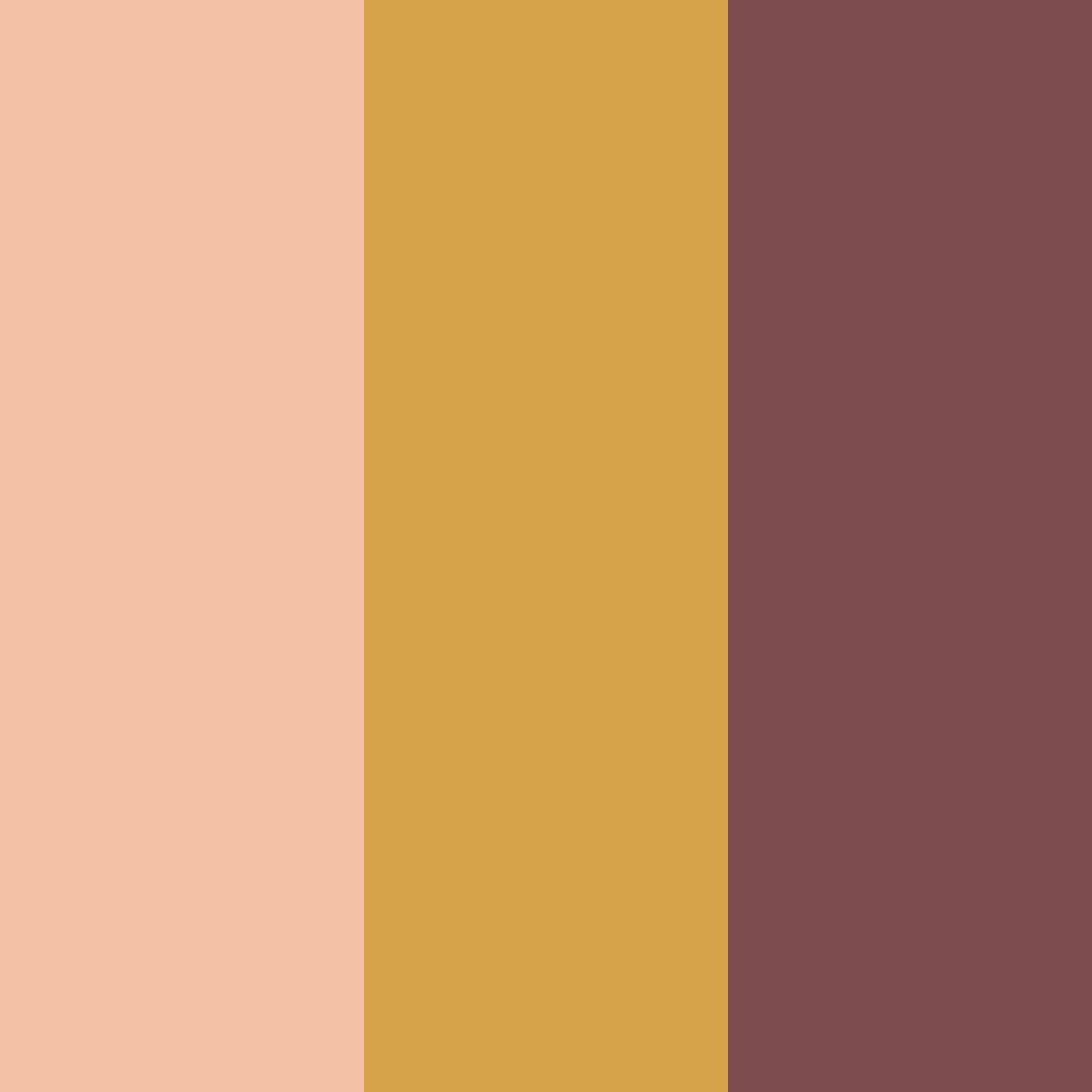 Download warm cinnamon color palette PNG image (square)