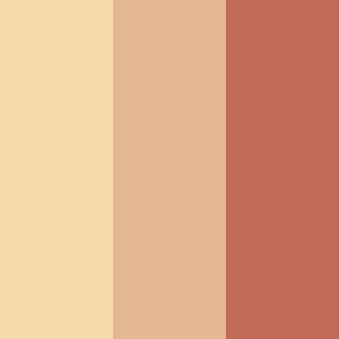 Download cinnamon sunrise color palette PNG image (square)