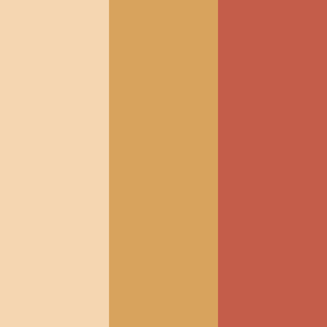 Download cinnamon sunrise color palette PNG image (square)