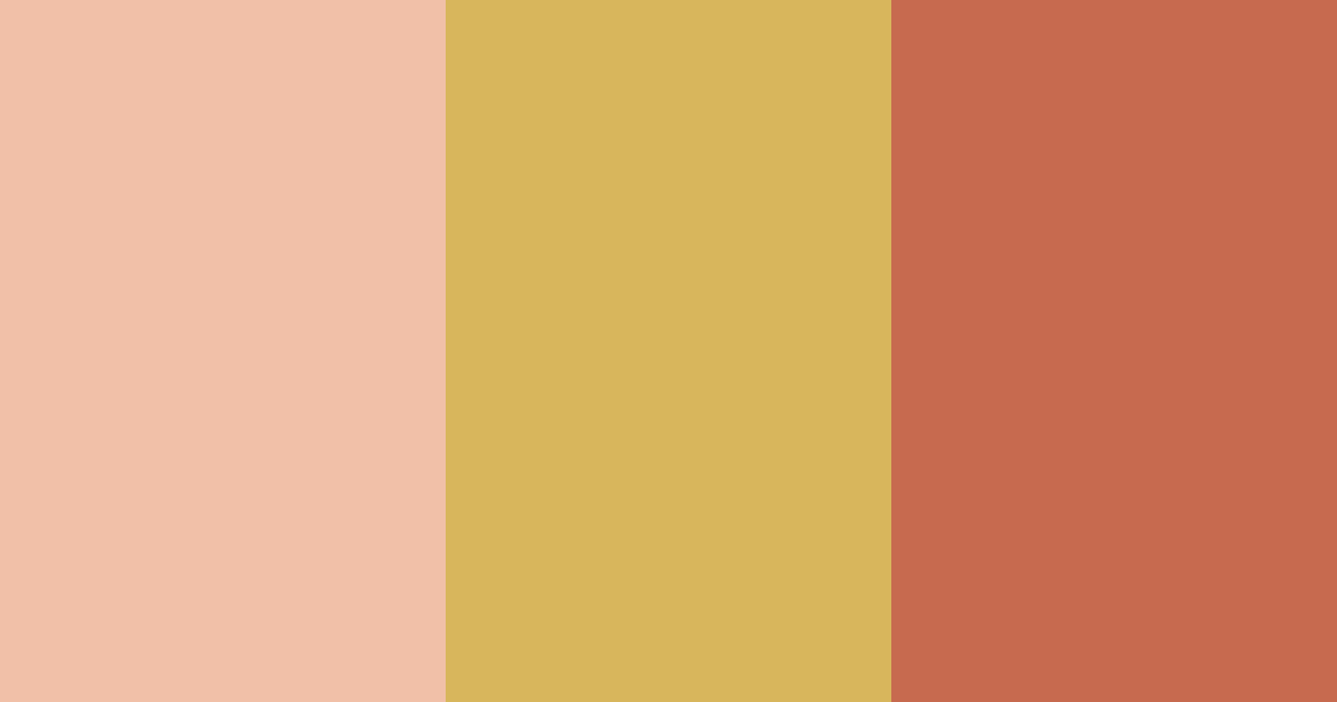 Download warm cinnamon color palette PNG image (landscape)