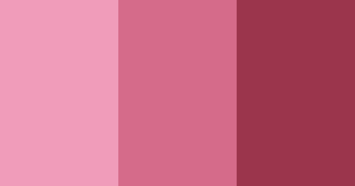Download blushing rosewood color palette PNG image (landscape)