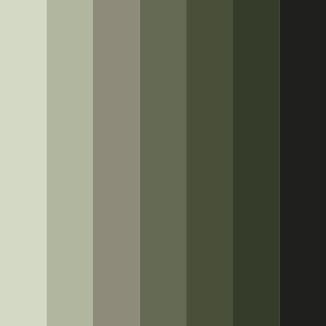 Download misty olive grove color palette PNG image (square)