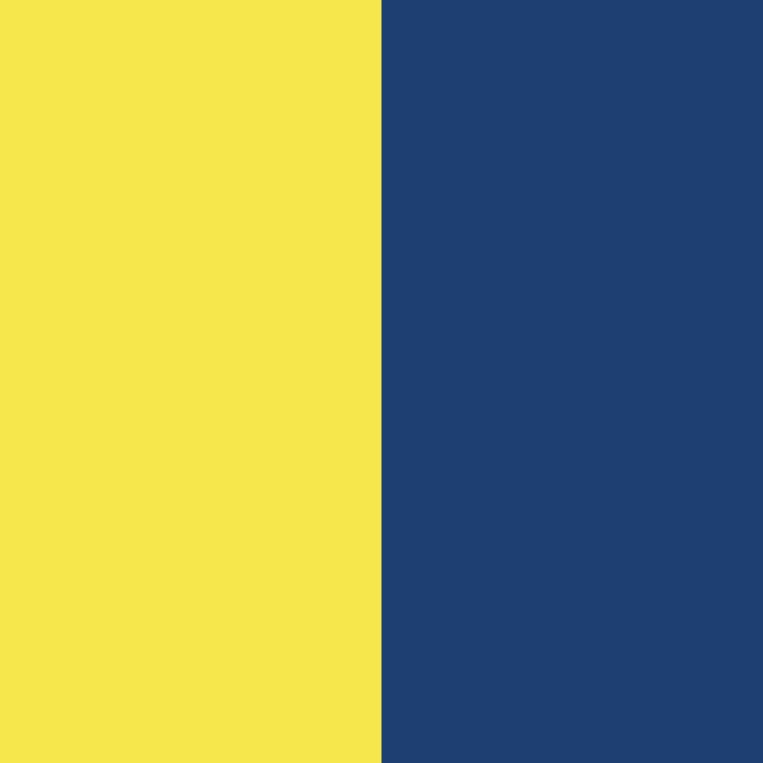 Download yellow navy color palette PNG image (square)