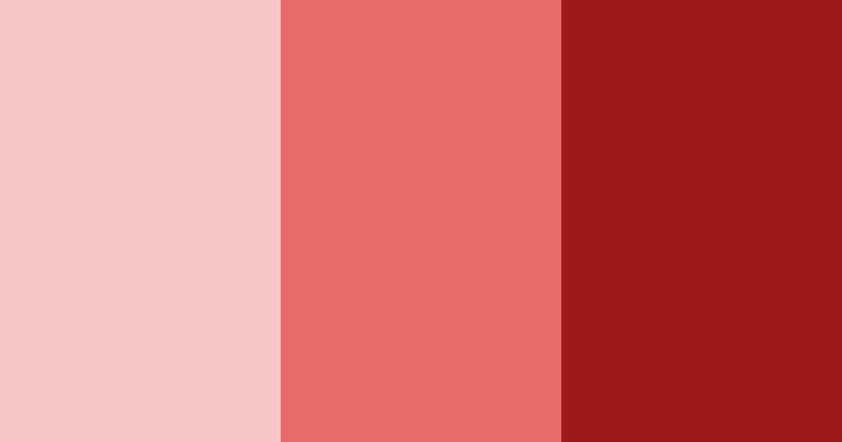 Download cherry blossom burst color palette PNG image (landscape)