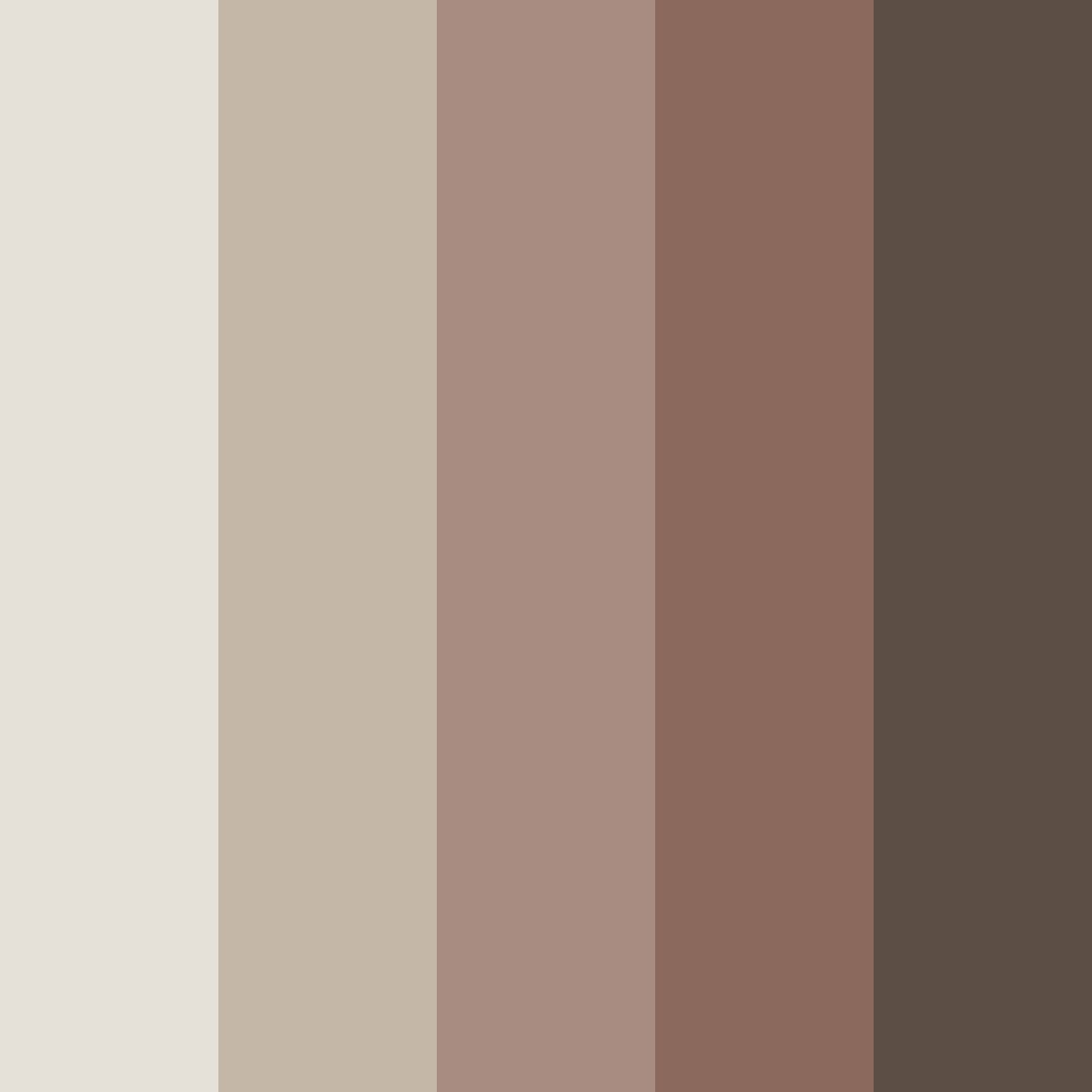 Download earthy whisper color palette PNG image (square)