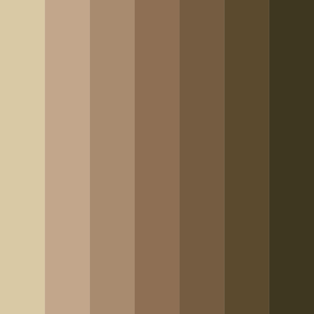 Download rustic harmony color palette PNG image (square)