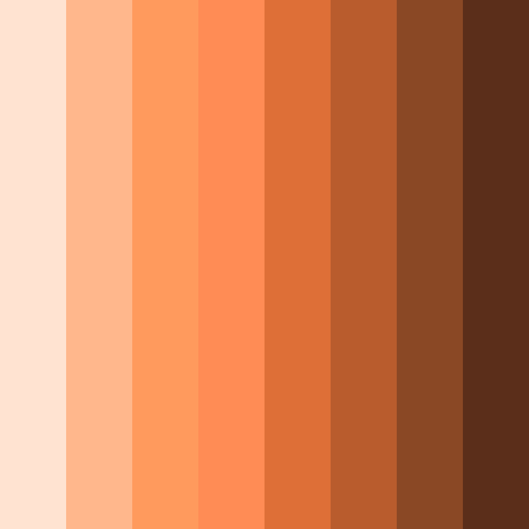Download sunset spice color palette PNG image (square)