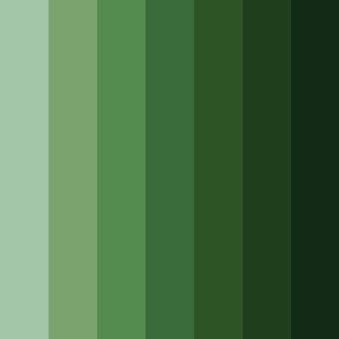 Download enchanted canopy color palette PNG image (square)