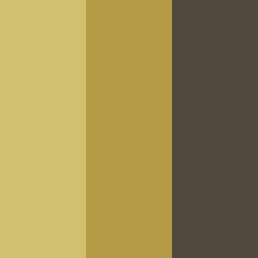 Download dark ochre color palette PNG image (square)