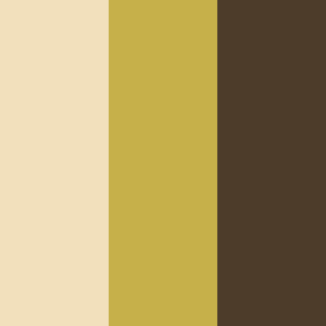 Download cedar whisper color palette PNG image (square)
