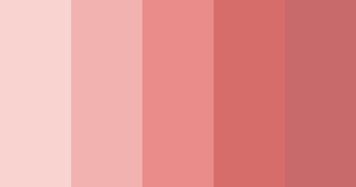 Download blush harmony color palette PNG image (landscape)