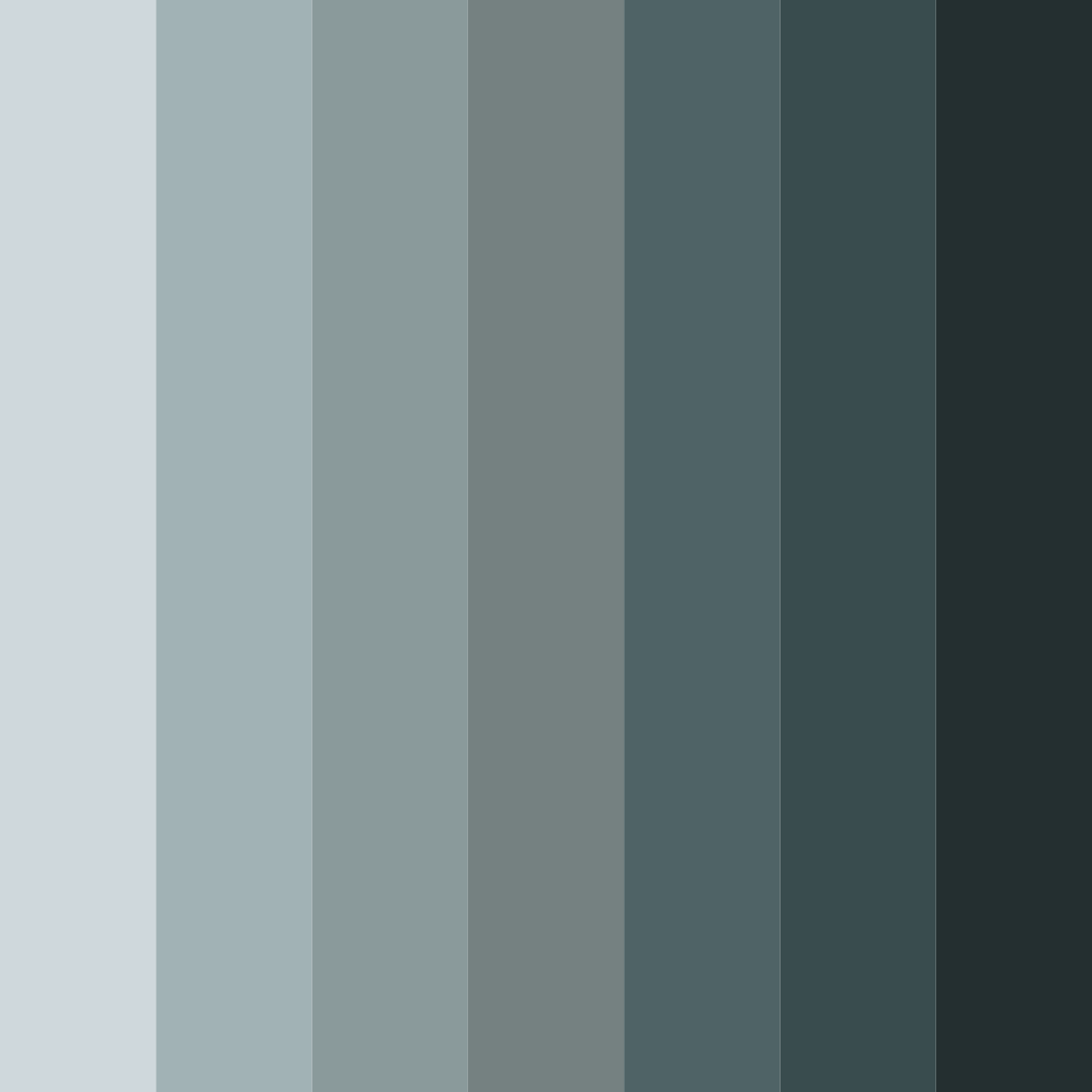 Download misty mountain shadows color palette PNG image (square)