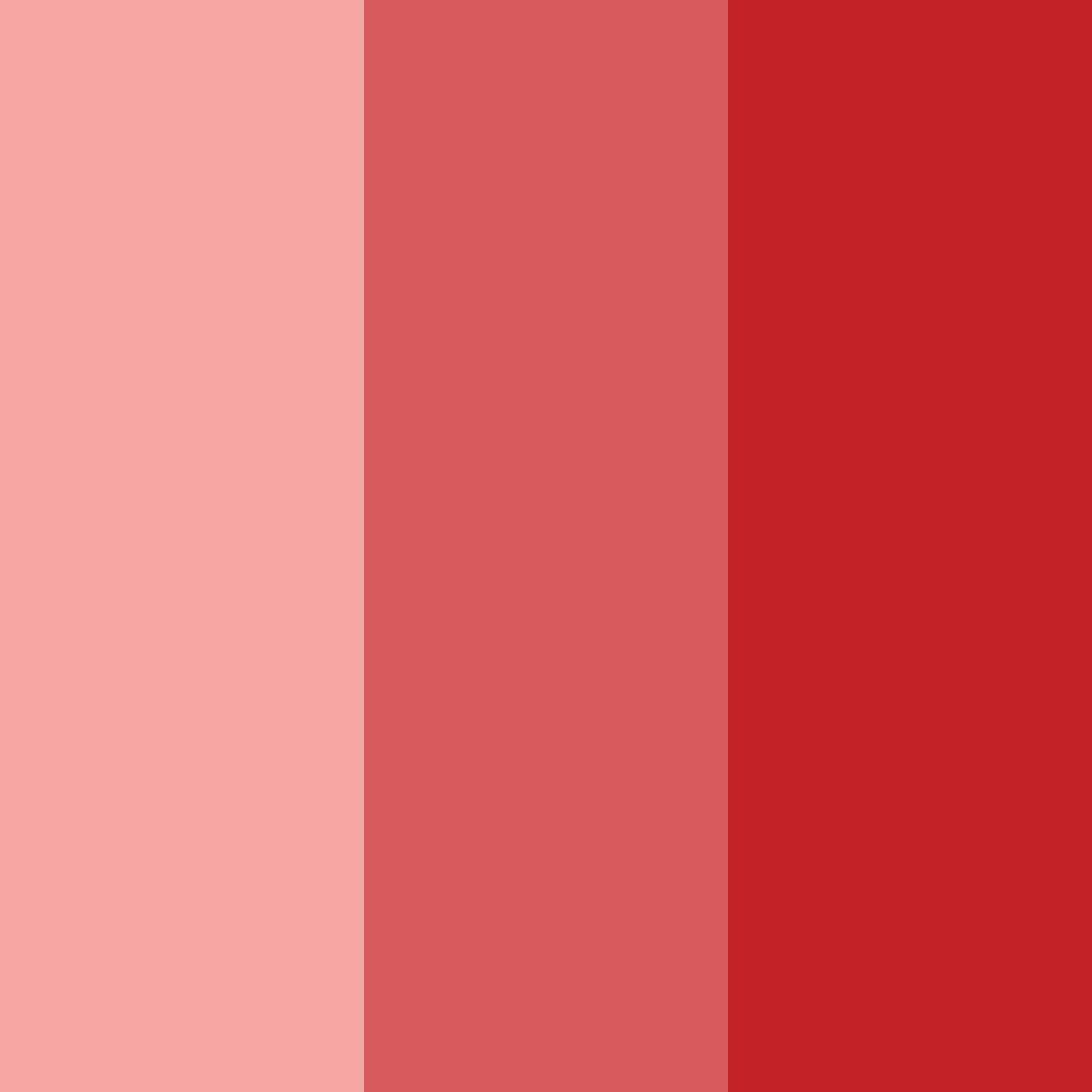 Download bright red color palette PNG image (square)