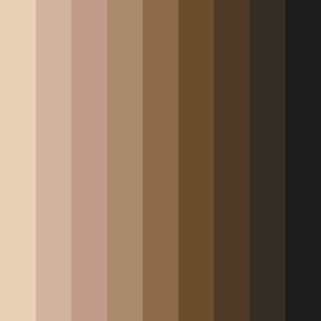 Download earthbound elegance color palette PNG image (square)