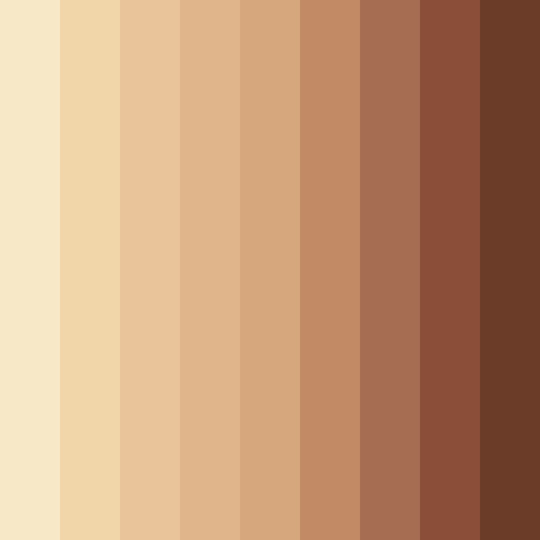 Download earthy brown color palette PNG image (square)