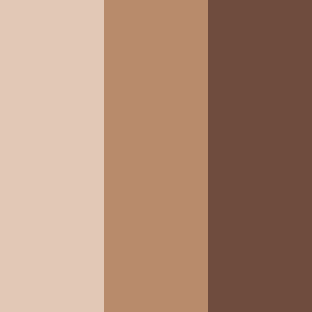 Download ancient earth tones color palette PNG image (square)