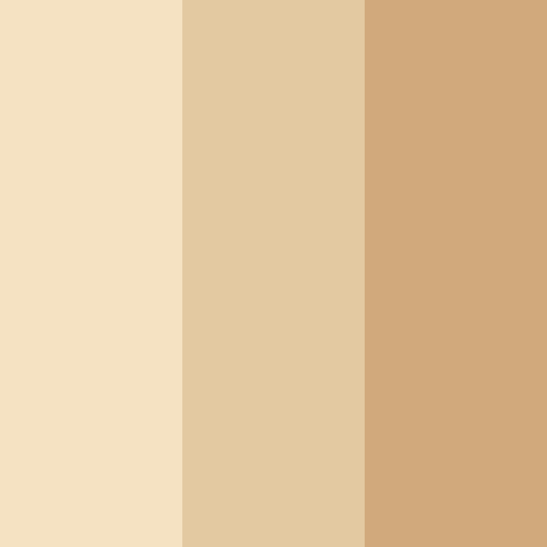 Download light sand beige color palette PNG image (square)