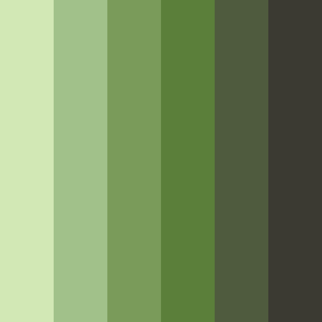 Download forest canopy delight color palette PNG image (square)