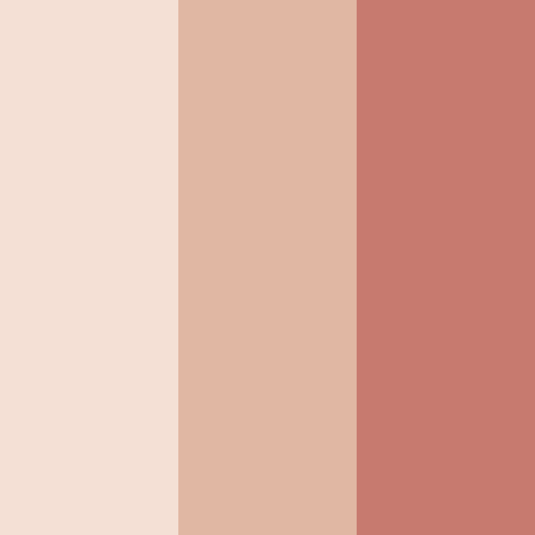 Download light peach color palette PNG image (square)