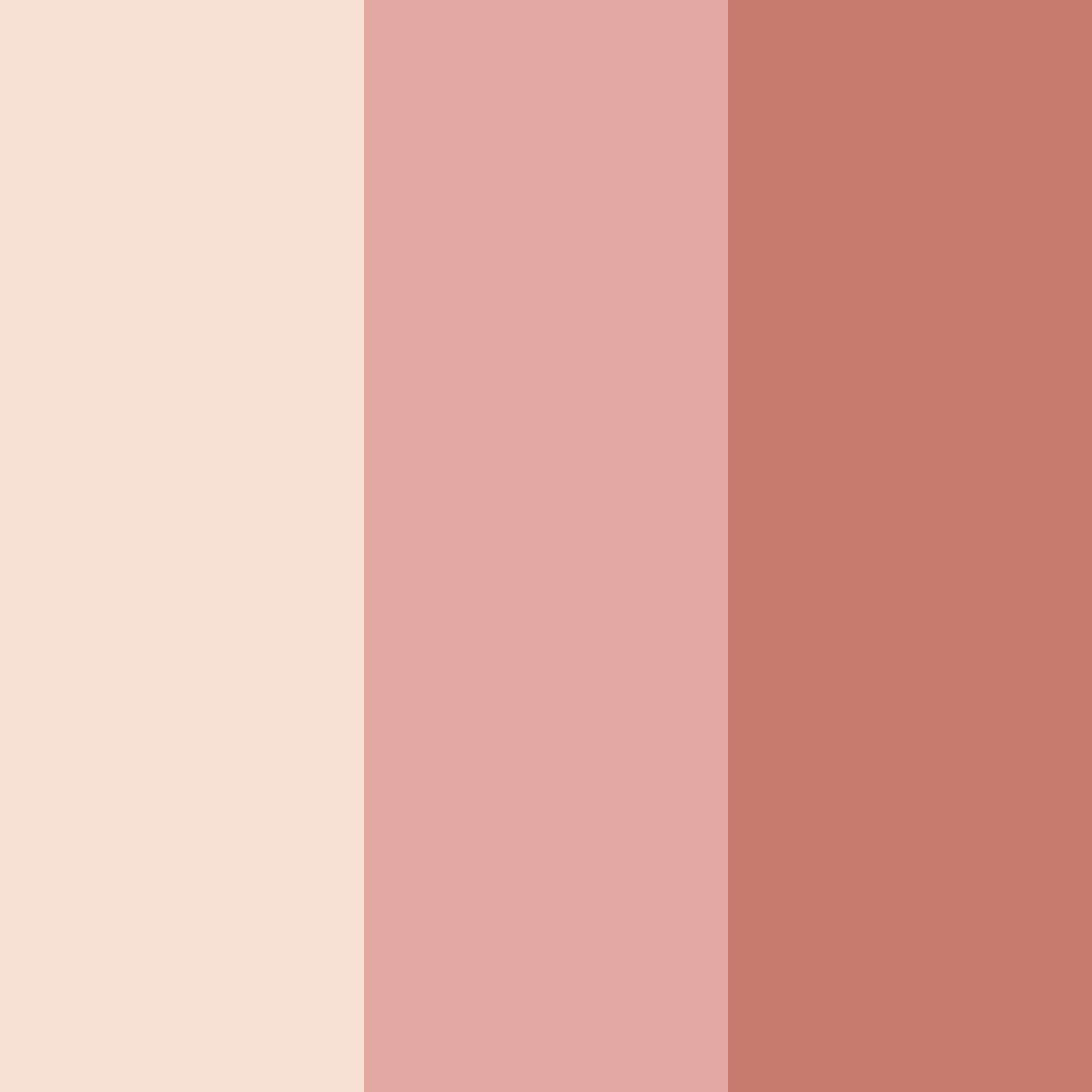 Download blushing sands color palette PNG image (square)