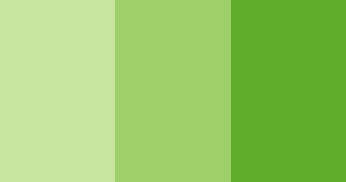 Download lush greenery color palette PNG image (landscape)