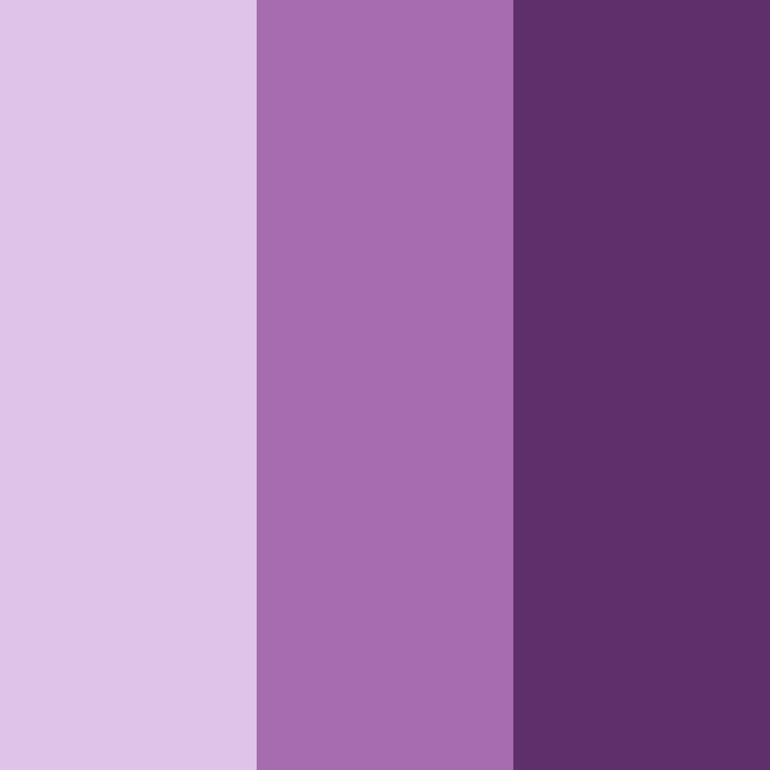 Download midnight design atelier color palette PNG image (square)